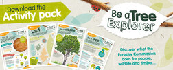 Tree Explorer Pack for Kids; Download the Activity Pack