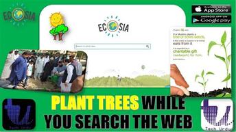 Ecosia Search Engine; Plant Trees While You Search the Web