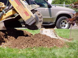 stump grinder and pile of wood chips