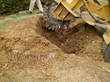A stump grinder shaving down a stump