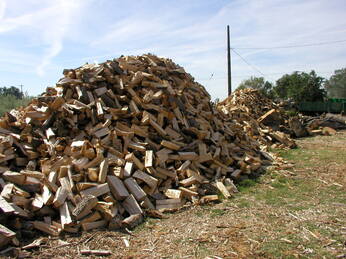 Piles of seasoned and split firewood for sale
