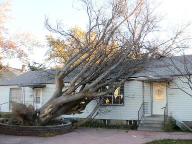 A tree that has fallen on a home
