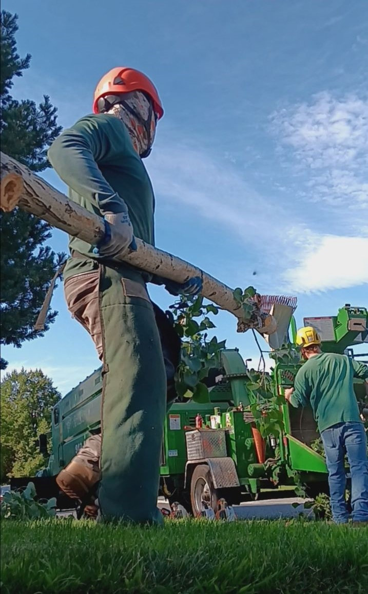 2 men putting branches into wood chipper