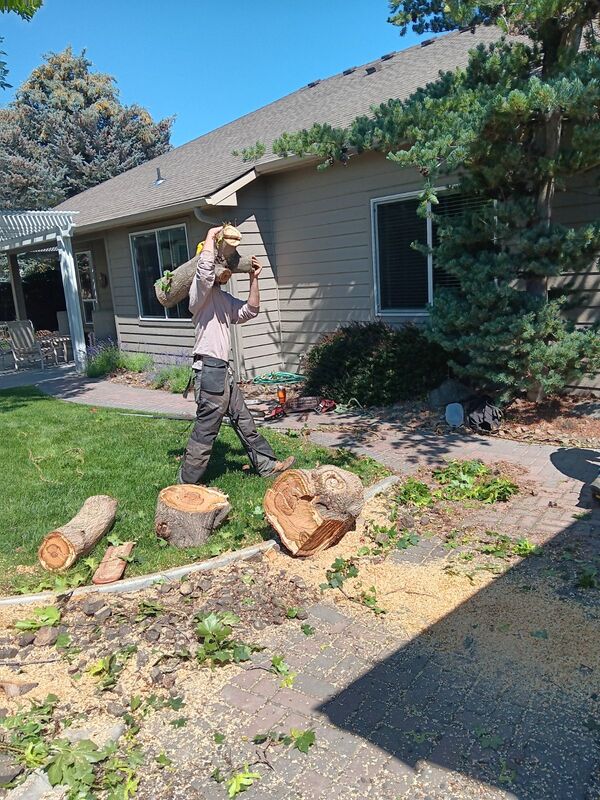 1 man carrying wood on his shoulder to clean-up jobsite