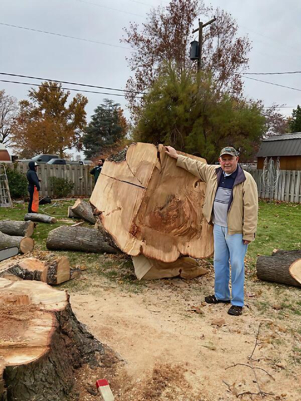 Homeowner standing beside the trunk of a large tree removed by Artistic Treeworks.