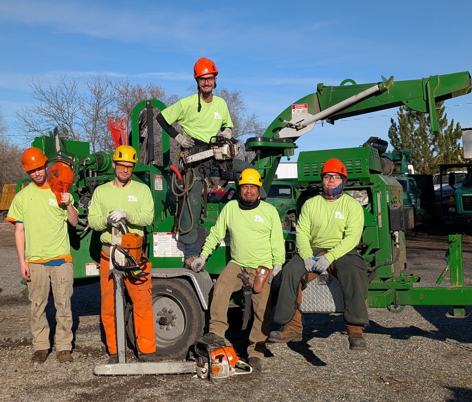 5 Tree crew members standing in front of a wood chipper